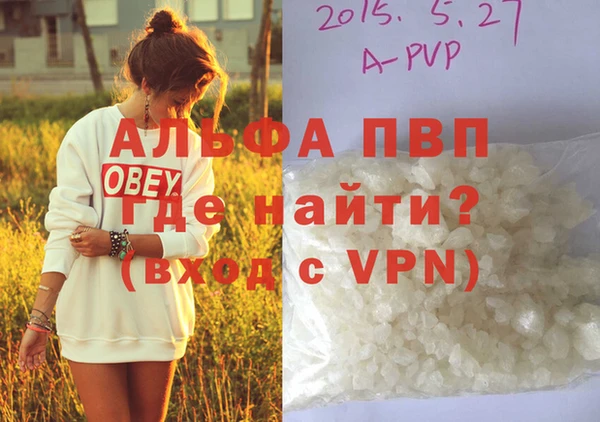 мяу мяу мука Абаза