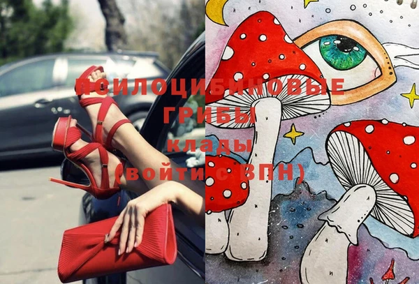 мяу мяу мука Абаза