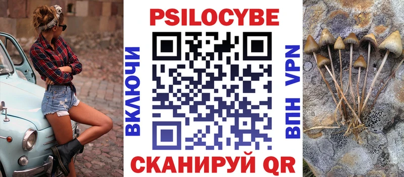 купить  цена  Карабаново  Псилоцибиновые грибы Magic Shrooms 