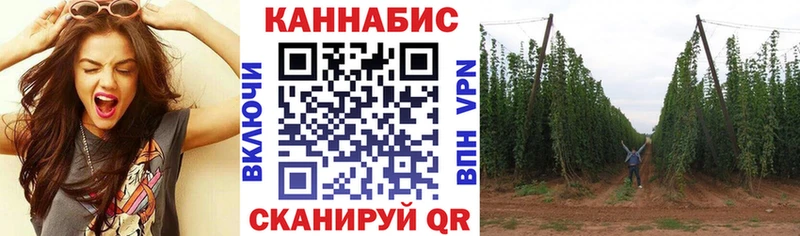 Бошки Шишки Amnesia  Карабаново 